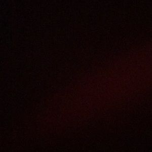 Meet your Posher, Jackson